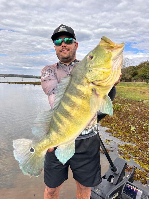 João  Caparroz Cardoso SP