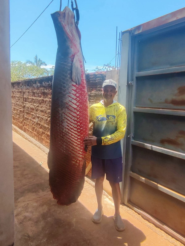 Roberto (Rei do Pirarucu)  Cardoso SP
