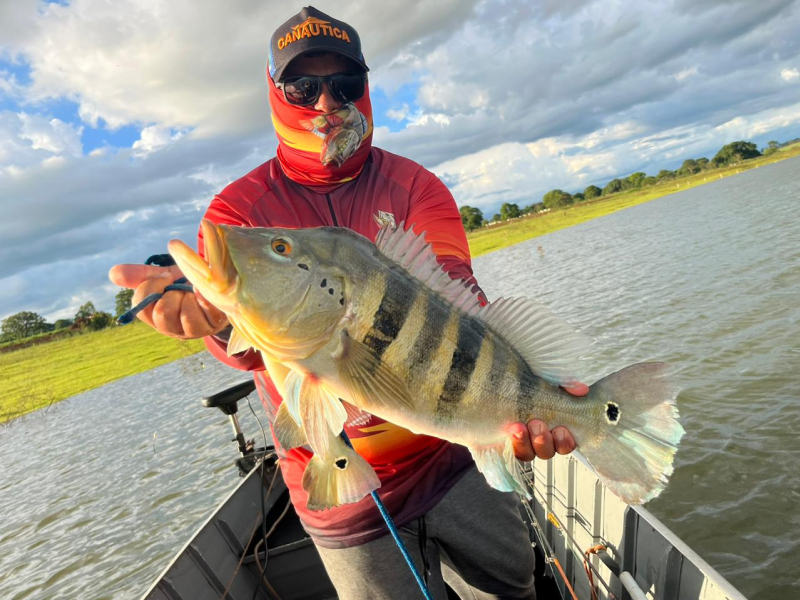 Regi Braga  Cardoso SP